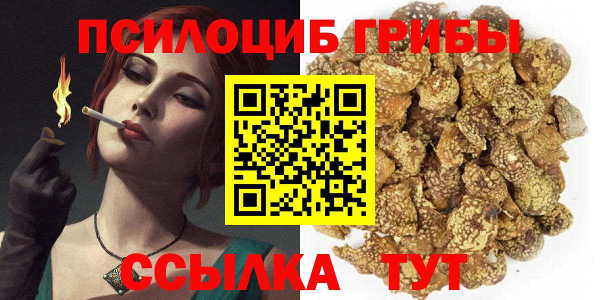 Междуреченск  Псилоцибиновые грибы прущие грибы  Вход с VPN 