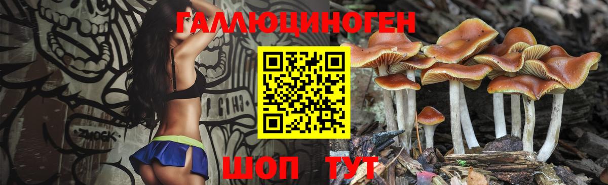 Галлюциногенные грибы Magic Shrooms Междуреченск